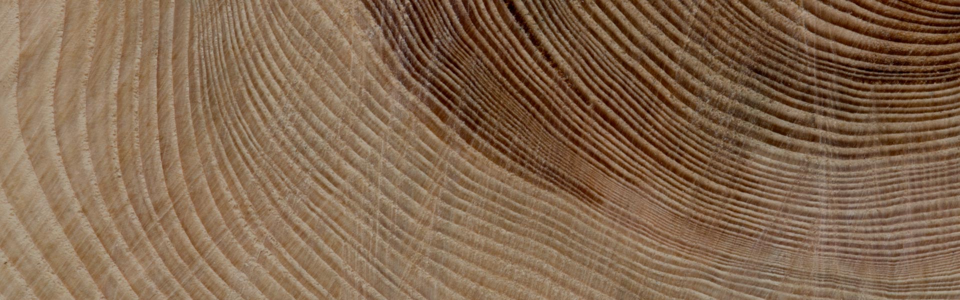 Holz – kostbarer und geschätzer Rohstoff